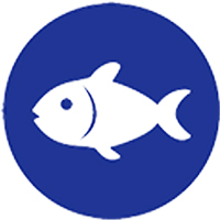 Pesce - Fish